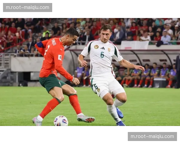 勒沃库森阵容年龄结构合理 年轻球员成长曲线符合长期发展预期